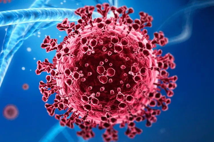 Waspada Virus Nipah, Thailand dan Nepal Perketat Pengawasan di Bandara (Ilustrasi)