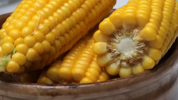 Jangan Buang Air Rebusan Jagung, Khasiatnya Bikin Dokter Angkat Alis (Ilustrasi)