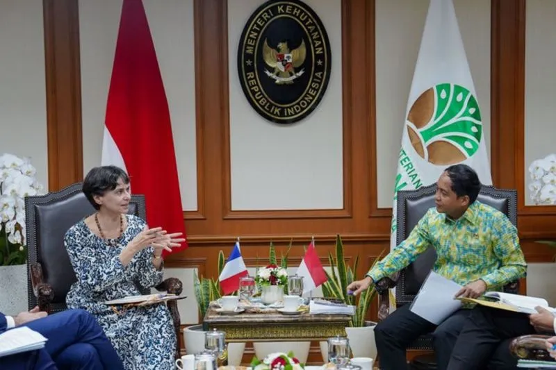 Menhut Raja Juli Antoni bertemu CIRAD untuk memperkuat kerja sama kehutanan berbasis sains. Langkah ini diharapkan mampu menjaga kelestarian hutan sekaligus meningkatkan kesejahteraan masyarakat.