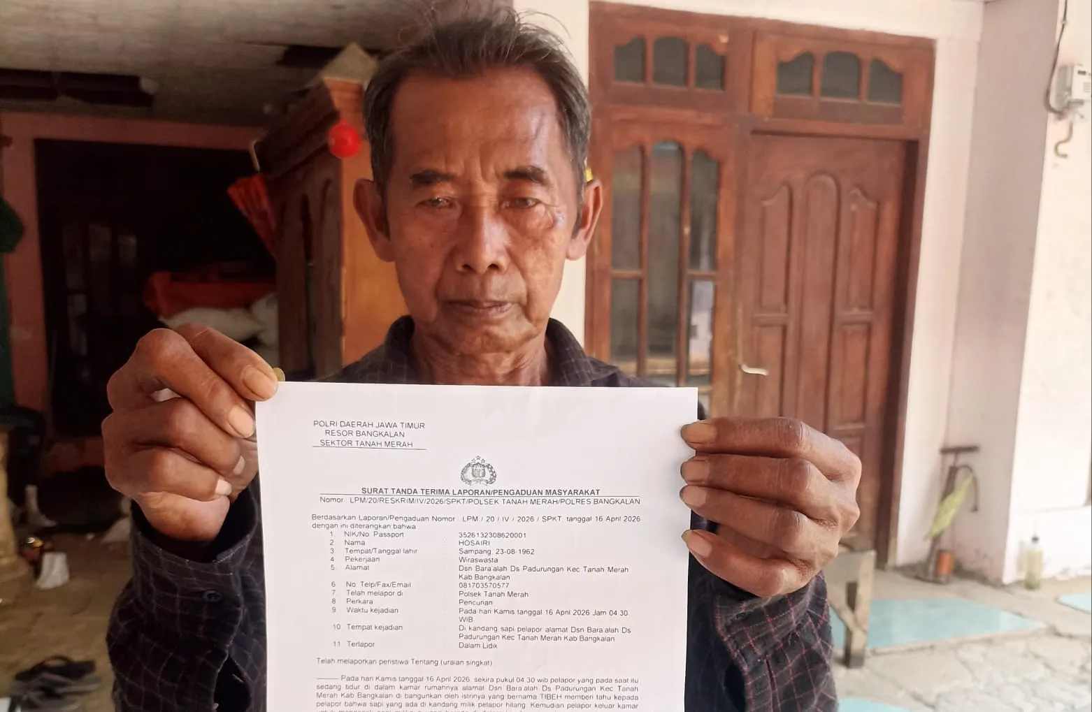 Kasus Pencurian Sapi di Tanah Merah Bikin Resah, Polisi Diharap Segera Ungkap Pelaku (Ilustrasi)