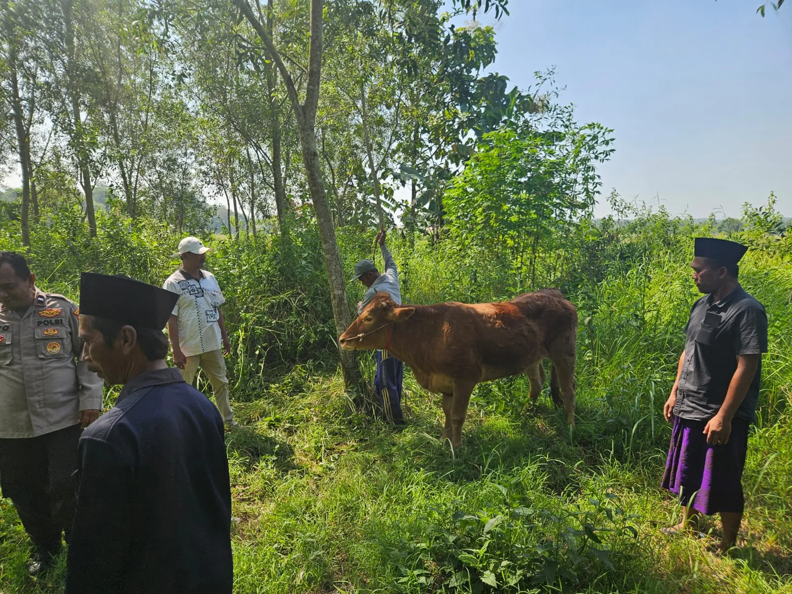 Sapi milik warga Desa Padurungan yang sempat hilang ditemukan di tepi sungai oleh warga setempat, Senin (20/4/2026) pagi (Foto/istimewa)